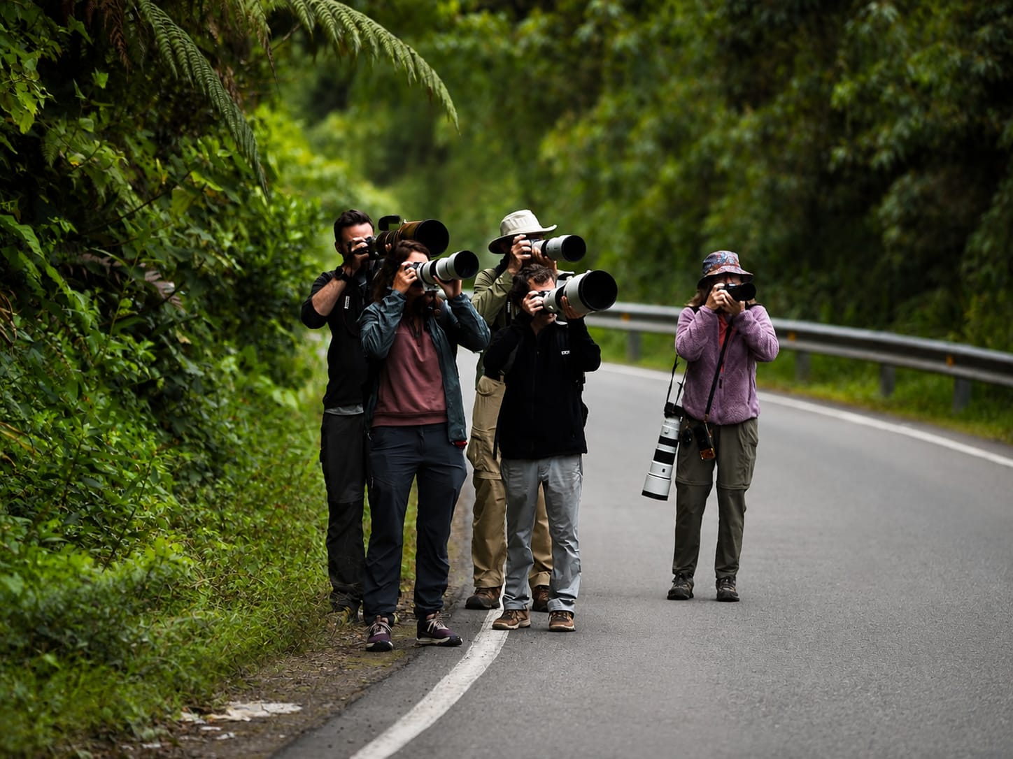Manu Photo Tour: Jungle Wonders – 5 Days / 4 Nights