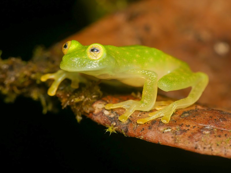 Amazon jungle river during a Manu Jungle Tour in Peru — Contact Wildlife Nature Peru